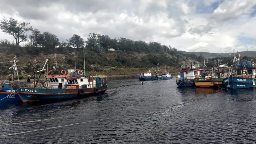 Colourful fishing boats moored in a small harbour.