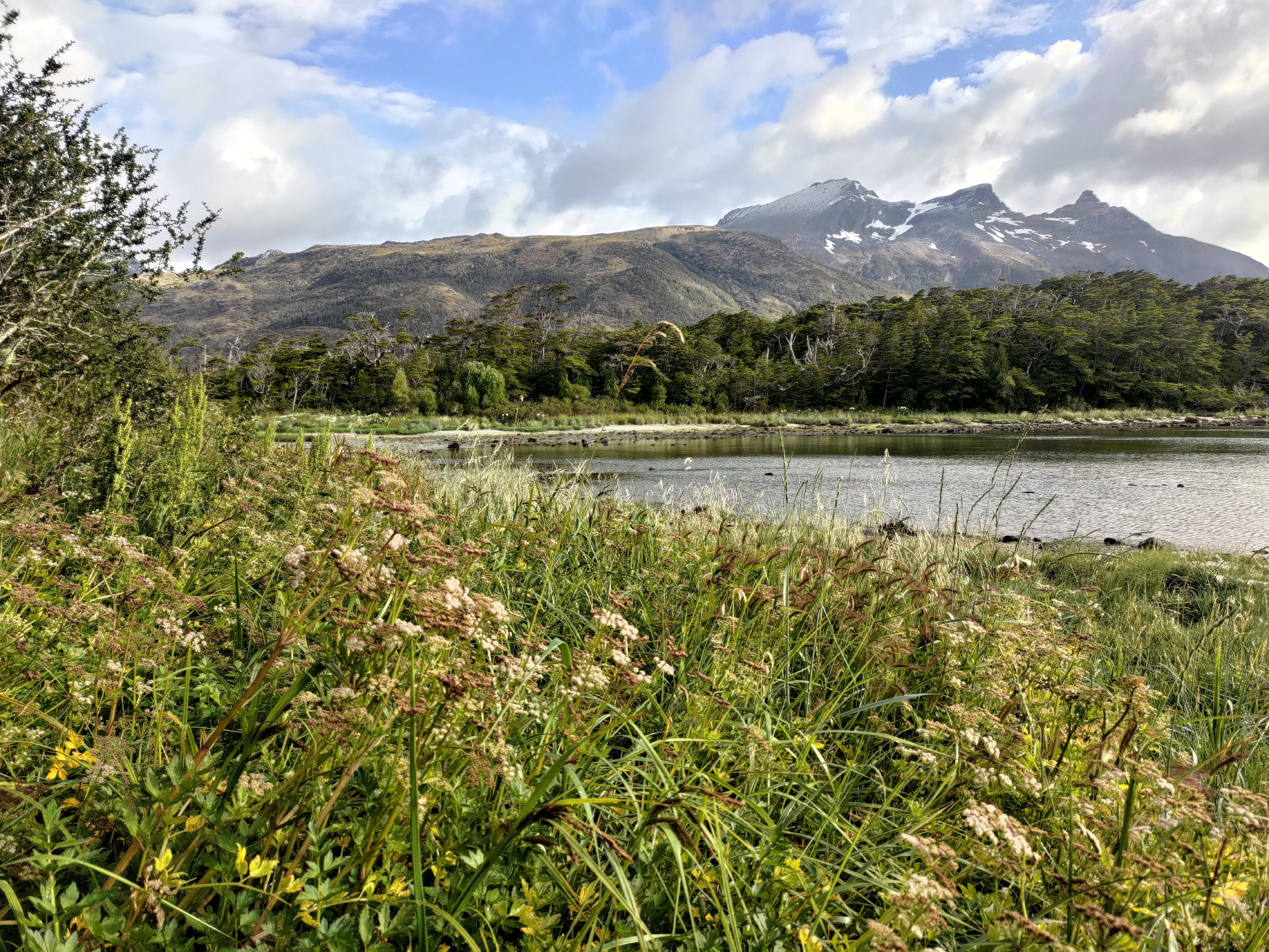 Lush bay with forest and snow-capped mountains in the background.