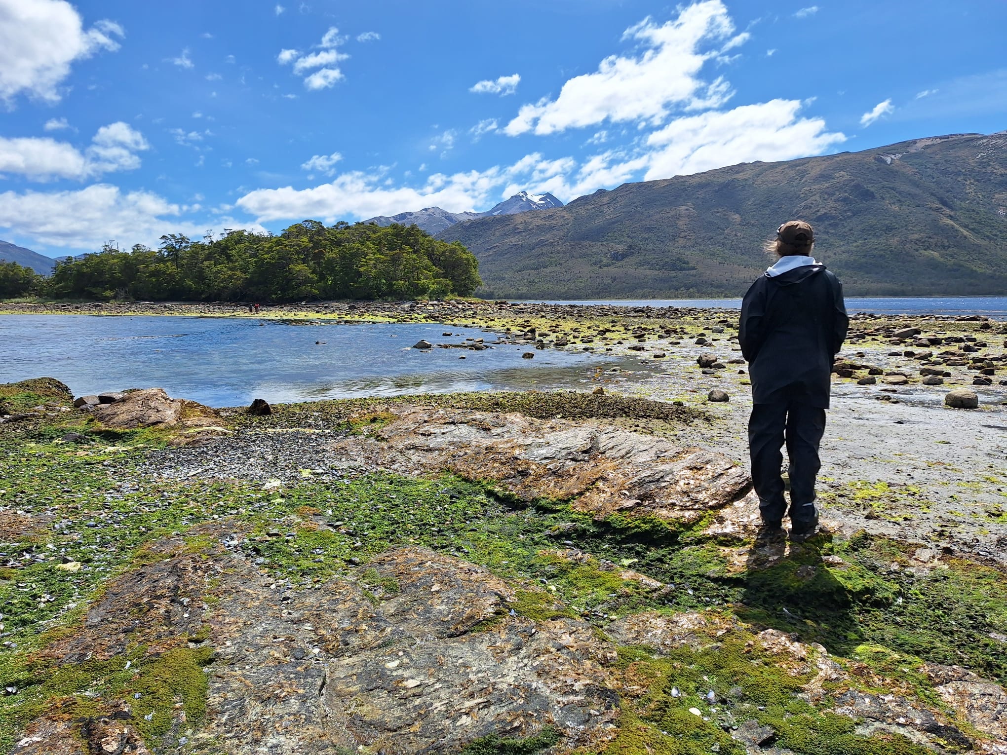Person standing on a rocky shore looking out over a coastal landscape with mountains in the background.