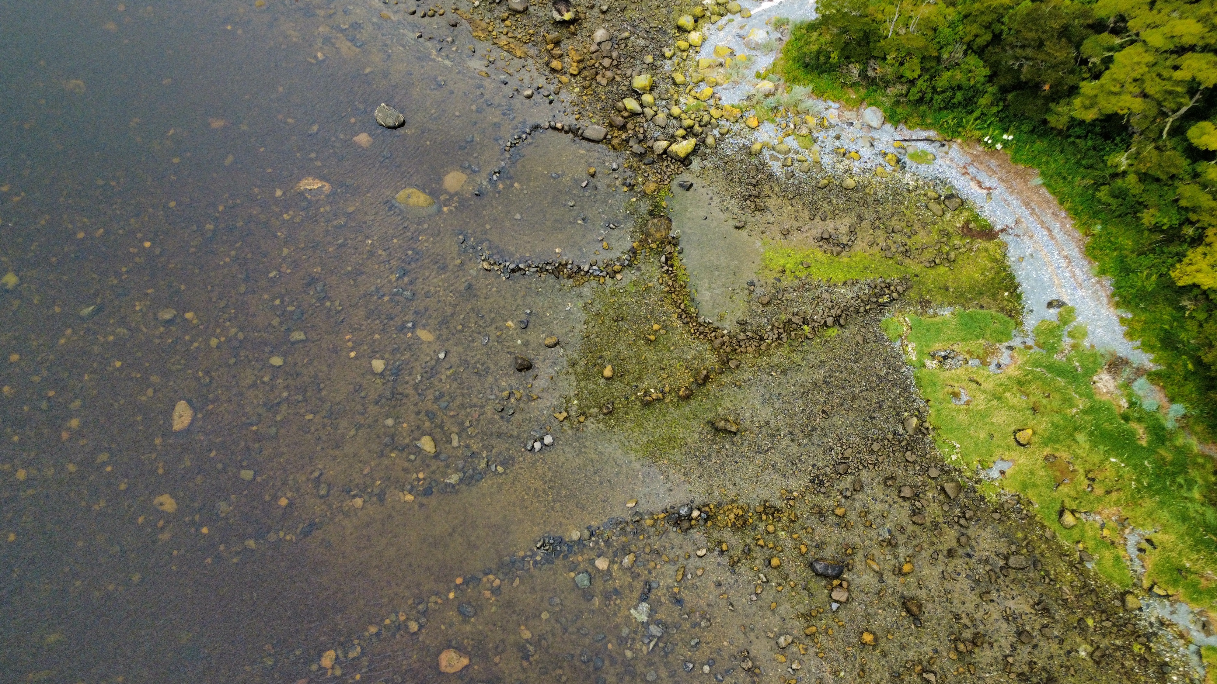 Aerial view of a shoreline where stones form circular patterns in shallow water.