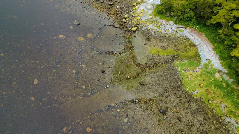 Aerial view of a shoreline where stones form circular patterns in shallow water.
