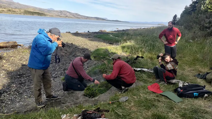 Fieldwork on a shoreline where several people examine the ground and document findings.