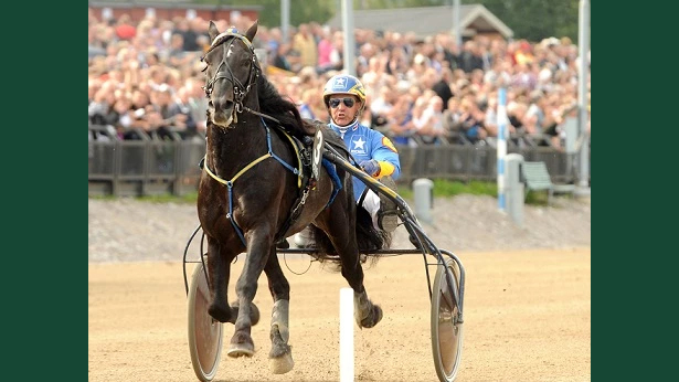 Foto av en mörk travhäst som springer på banan med en kusk i sulky bakom sig.
