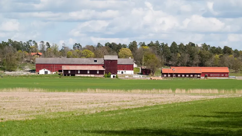 Utsikt åker med gård i bakgrunden.