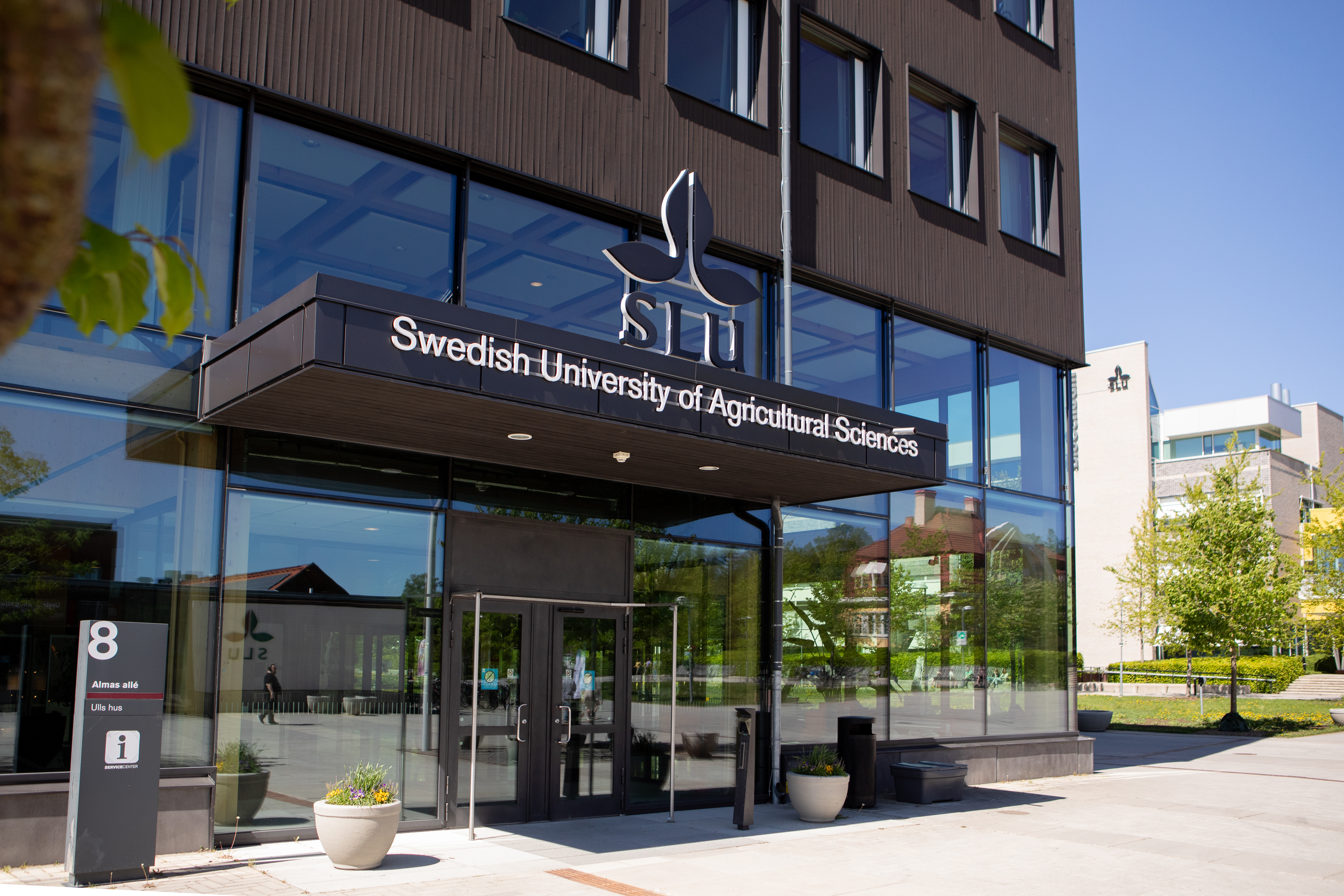 SLU Ulls hus building
