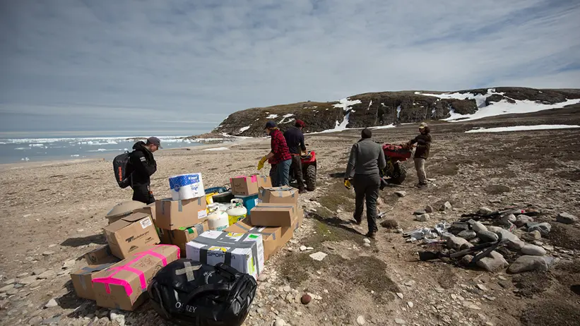 Människor och kartonger på stand