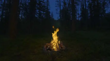 Lägereld en sensommarnatt