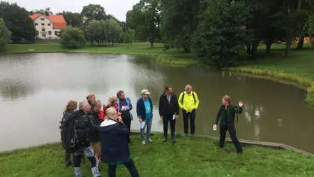 Guidning vid en damm