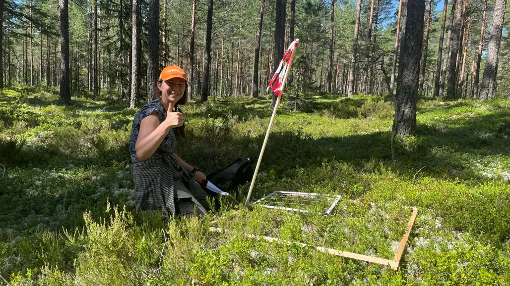 Person undersöker marken i skogen.