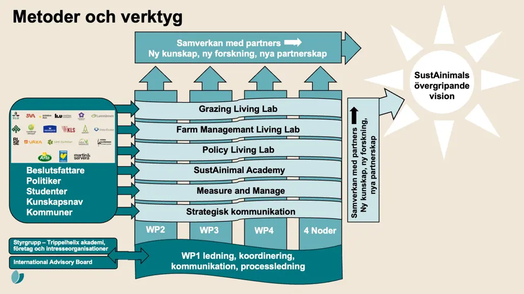 Schema över SustAinimals organisationsstruktur och processer.