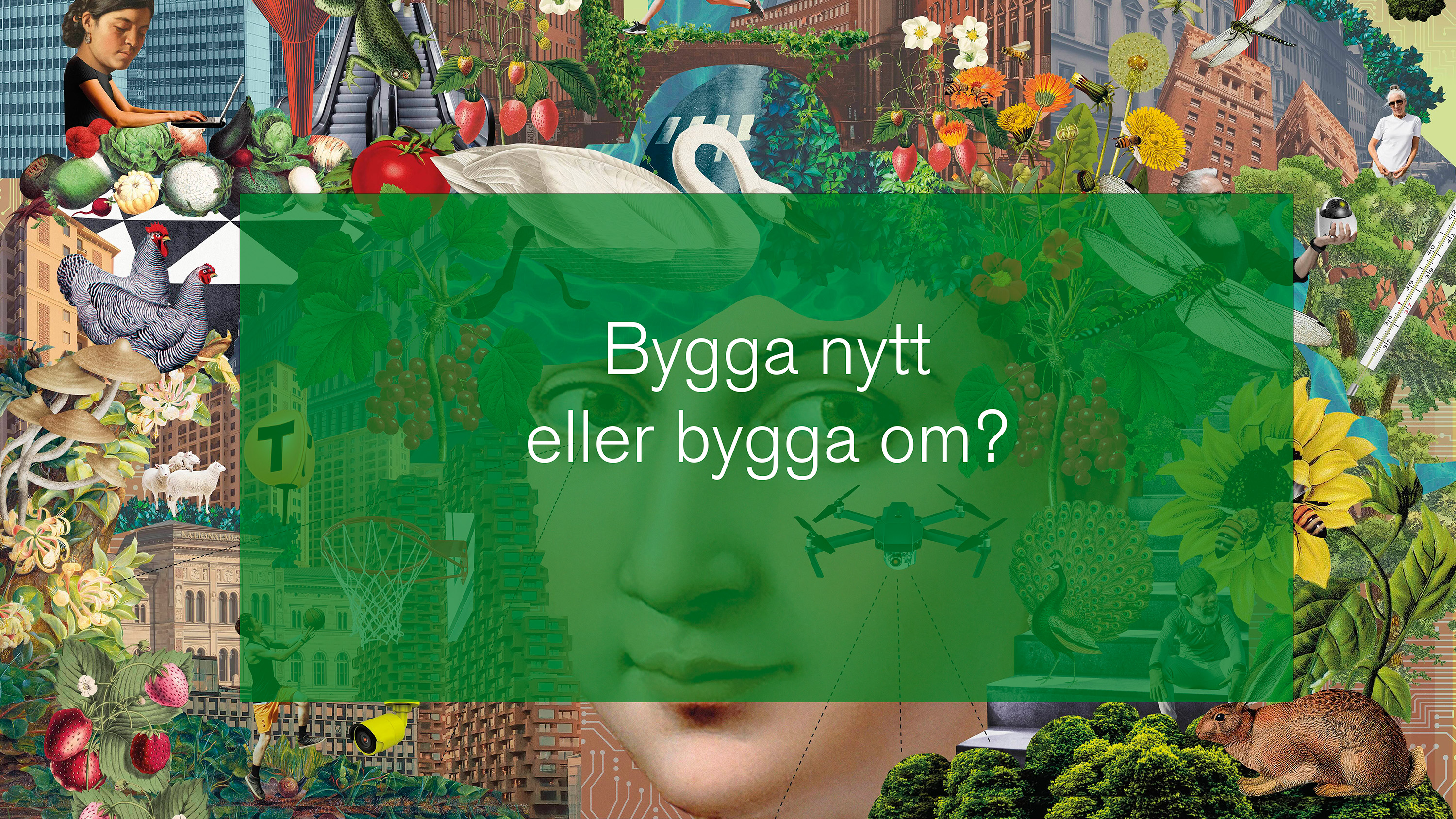 Färgglad illustration av stadsmiljö med en textplatta där det står "bygga nytt eller bygga om?"