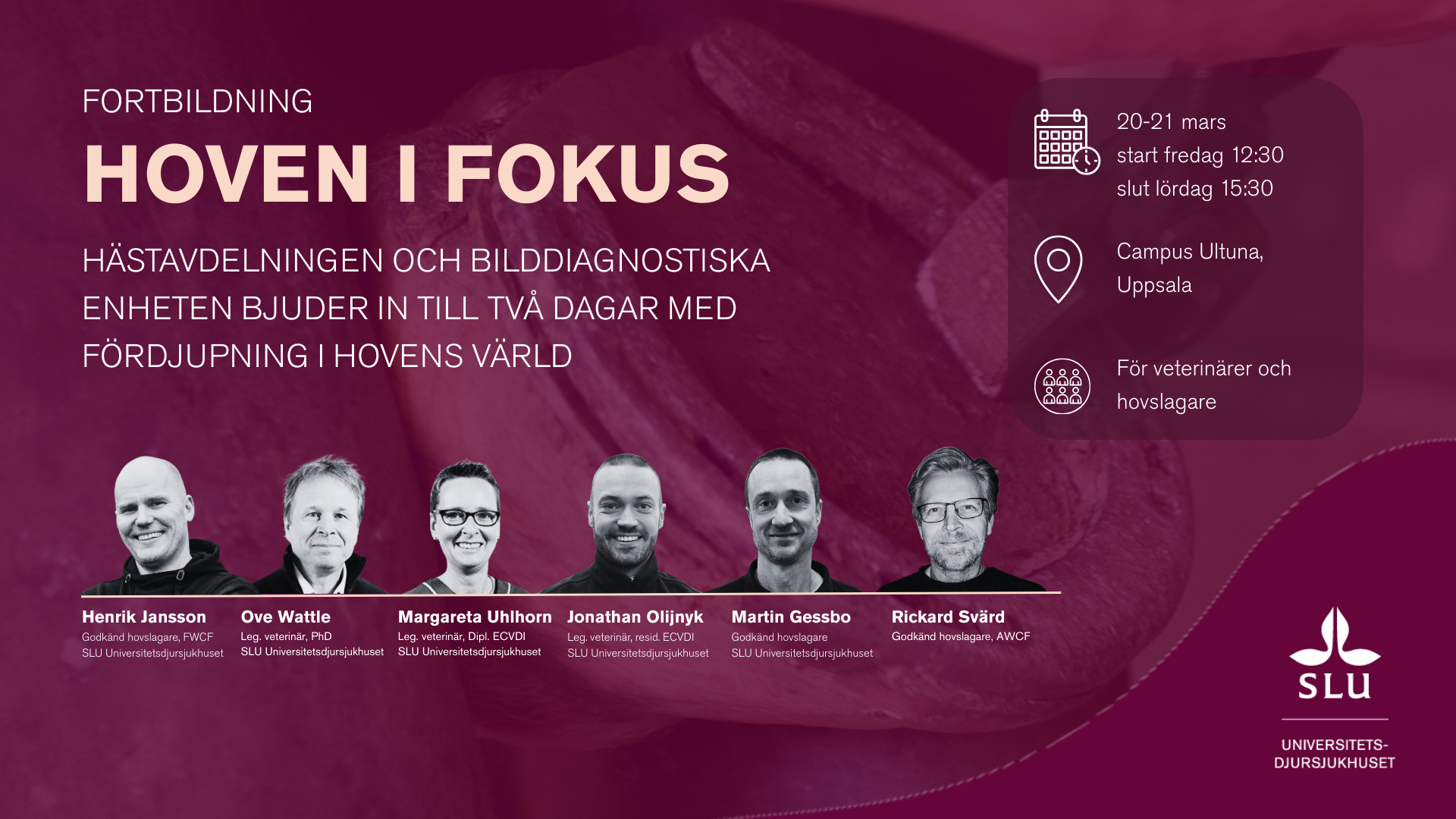 Banner hoven i fokus