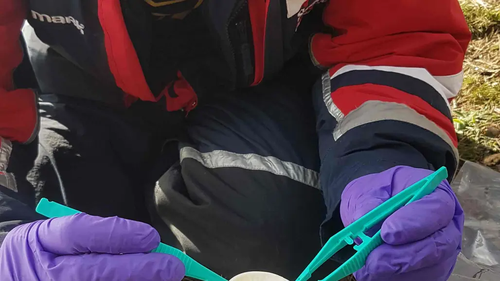 man med glasögon och handskar stoppar ett prov i en behållare