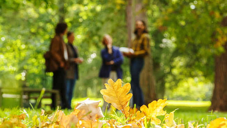 A photograph of a group of people standing and talking. Outdoor setting, autumn.