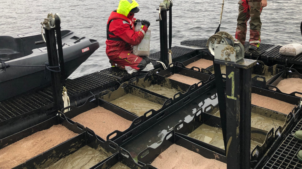 Various containers filled with sand. A person is squatting and working.