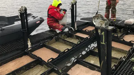 Olika behållare fyllda med sand. En person sitter på huk och arbetar.