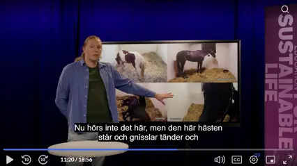 Skärmdump av hästföreläsning av forskare Johan Lundblad vid SLU.