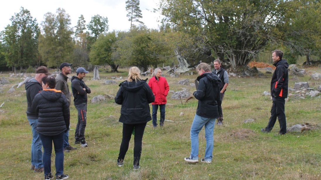 Nine people are standing in a circle outside in a pasture with green trees in the background.