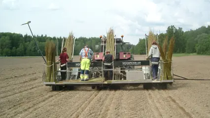 Fyra personer åker bortåt i en planteringsmaskin på en åker.