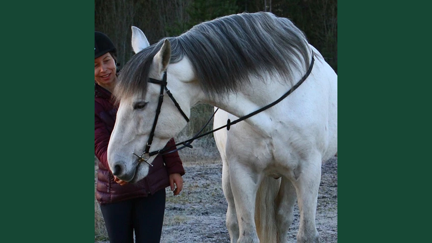 Foto av en kvinnlig ryttare (Elke Hartmann, SLU) ståendes bredvid en vit häst.
