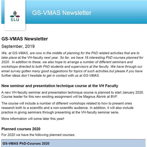 Picture GS-VMAS newsletter