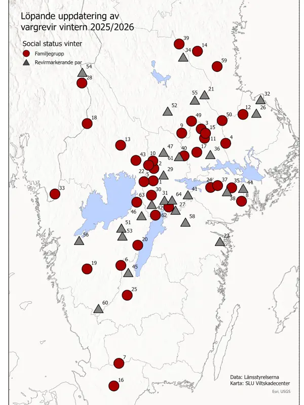 Karta med de 64 vargrevir som dokumenterats i Sverige 22 april 2026