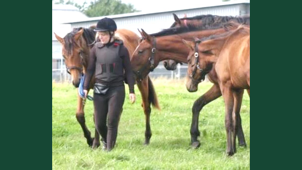 Foto av en människa tillsammans med flera hästar i en hage med gräs.