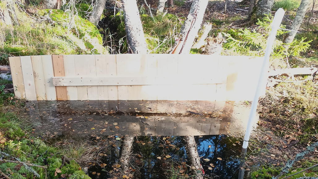 Konstgjord bäverdamm