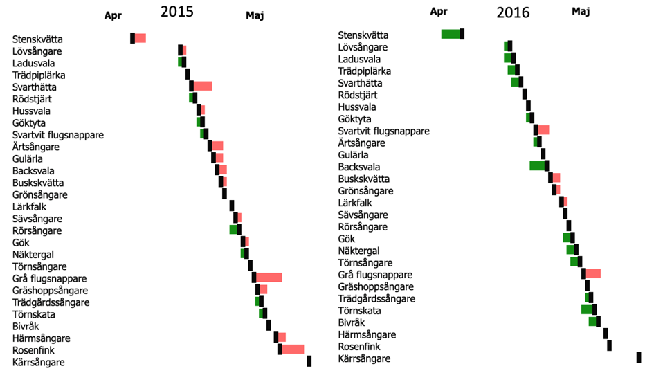 Diagram som visar förskjutning för ett antal tropikflyttande fåglar åren 2015 och 2016. Diagram