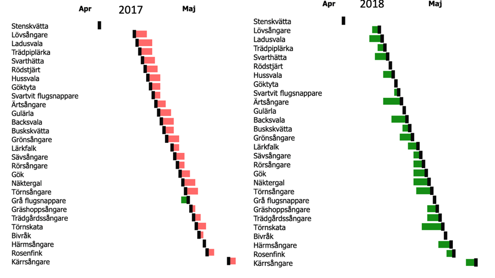 Diagram som visar förskjutning för ett antal tropikflyttande fåglar åren 2017 och 2018. Diagram