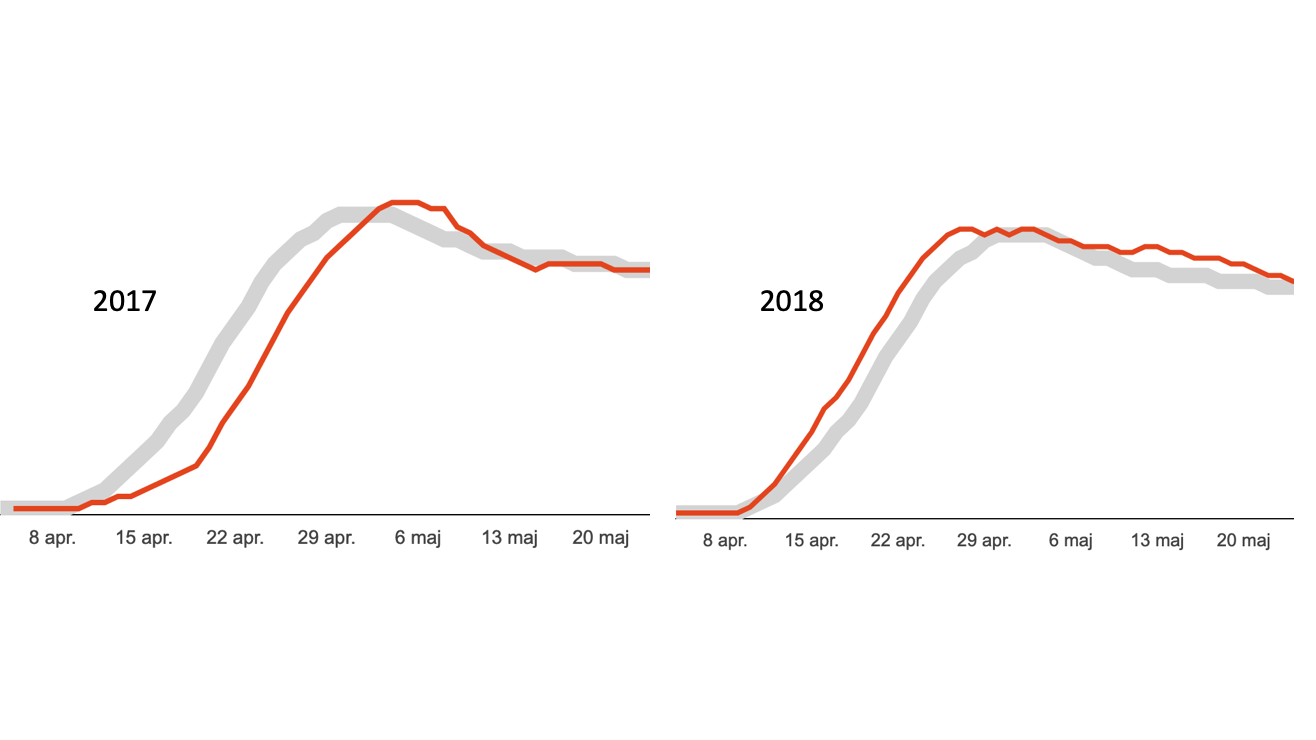 Diagram som per dag visar antalet rapporterade lövsångare åren 2017 och 2018, samt det relativa medelantalet.