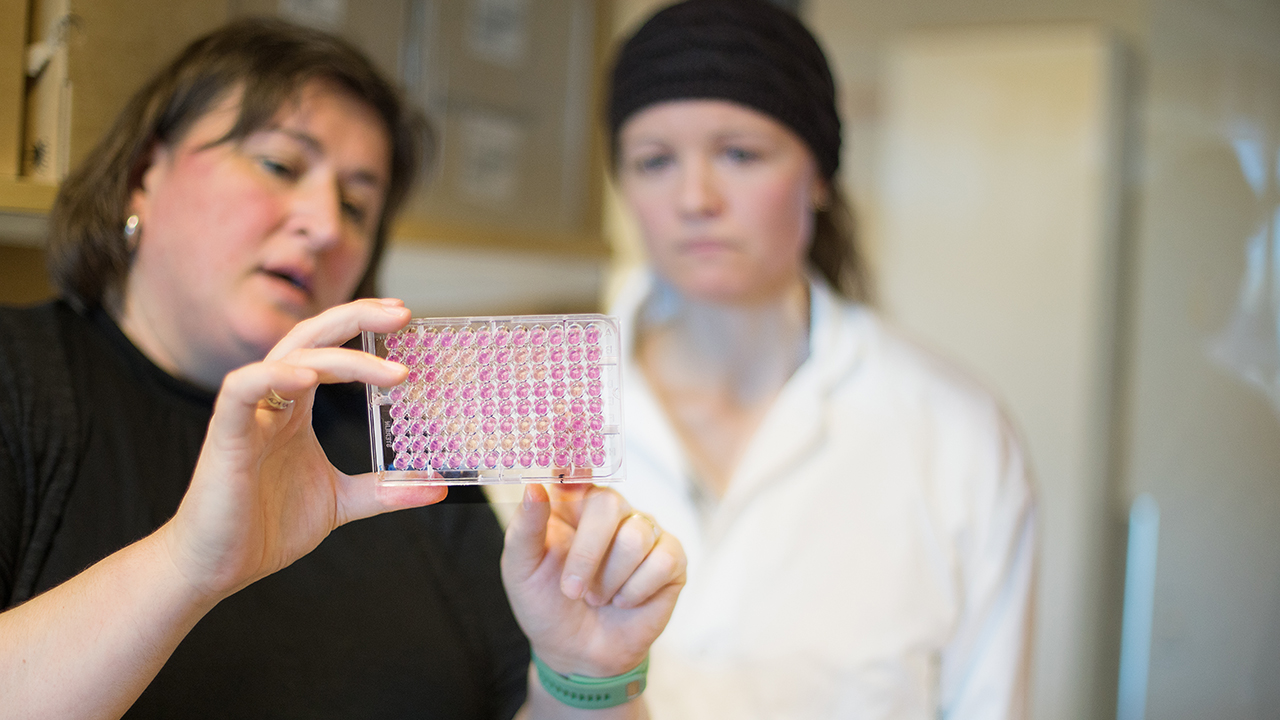 Forskare i ett laboratorium