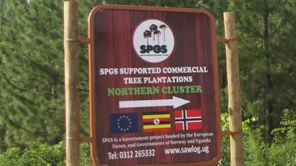 A sign with the text supported commercial tree plantation.