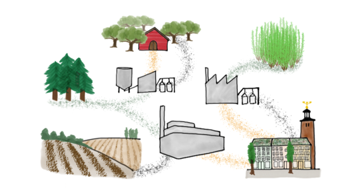 A figure that shows from where comes bio-char, where it is produced and where it is used.
