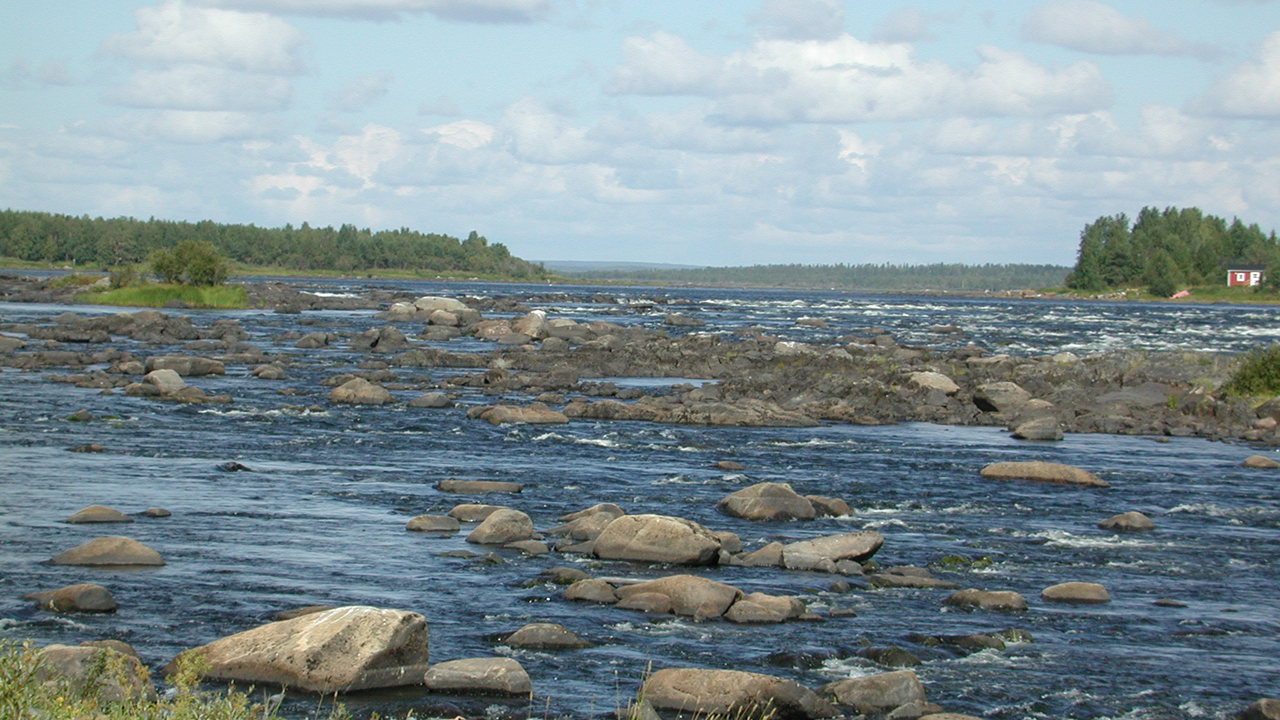 Forsande vatten med stenblock. Foto