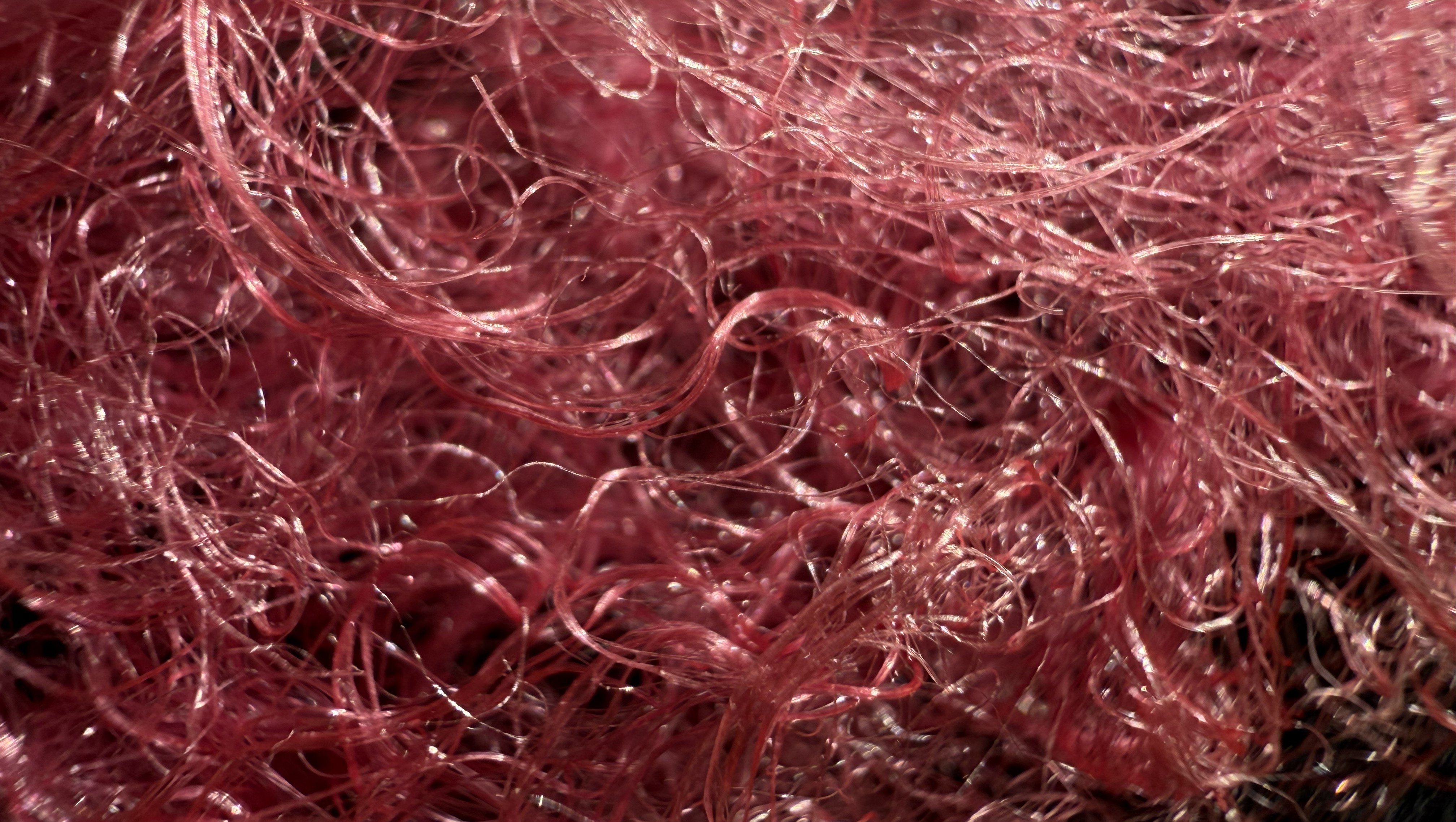 Närbild på färgad spindeltråd.