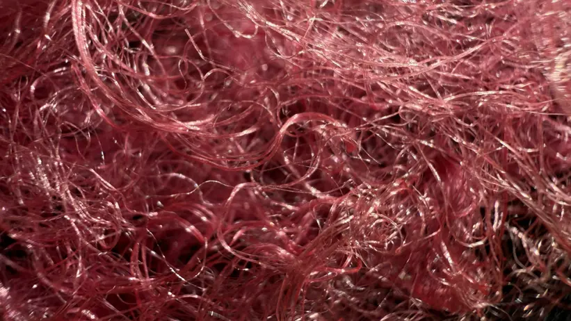 Close-up of colored spider silk.