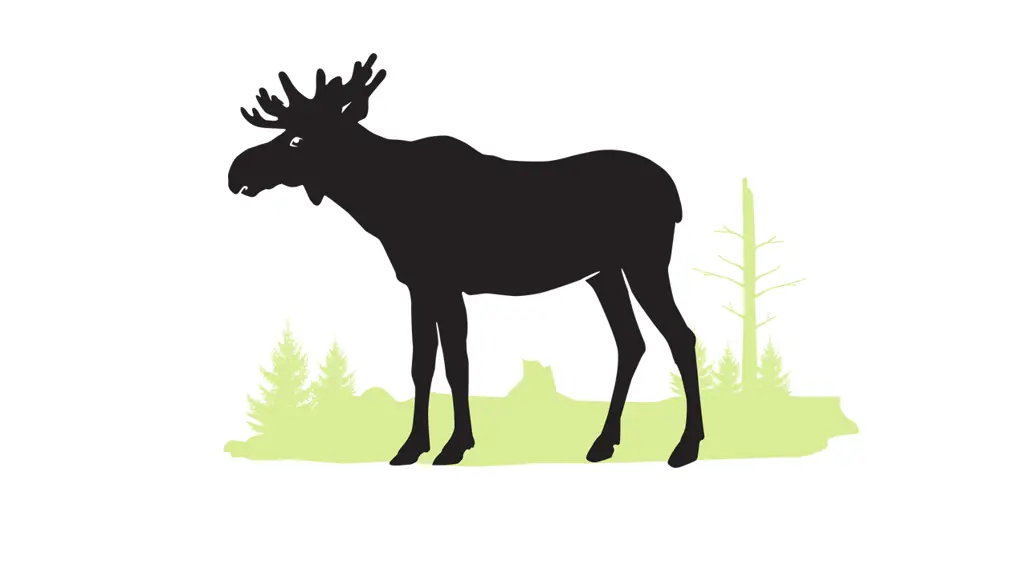 Illustration av en älg i svart silhuett stående mot en ljusgrön bakgrund med stiliserade granar, berg och ett kalt träd. Motivet symboliserar skogsmiljö och vilt i grafisk form.