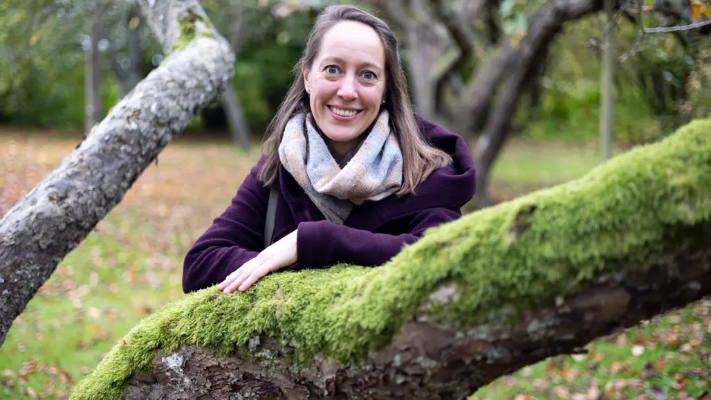 kvinna vid ett krokigt äppelträd