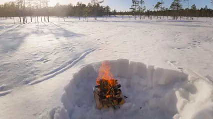 Vårvinterbrasa