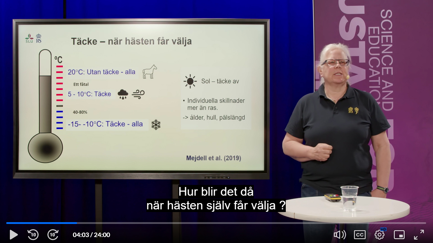 Skärmdump från hästforskarföreläsning med Karin Morgan, SLU.