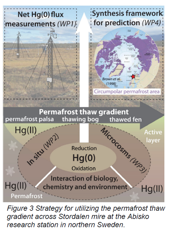 Tower with measurement instruments on a mire (photo) as a background for an illustration of Abisko as a part of the Arctic as well as different Hg forms in the thawing permafrost.