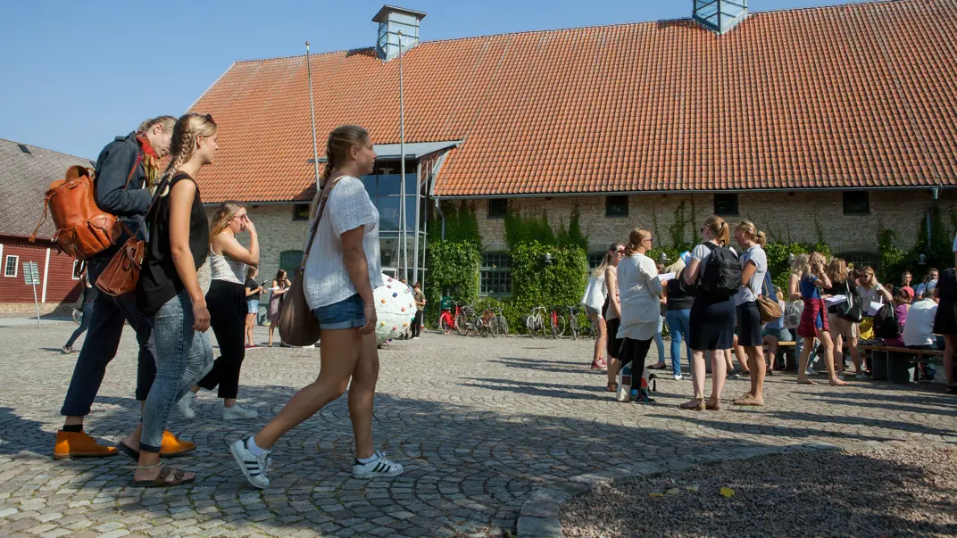 Young people in a group in a yard