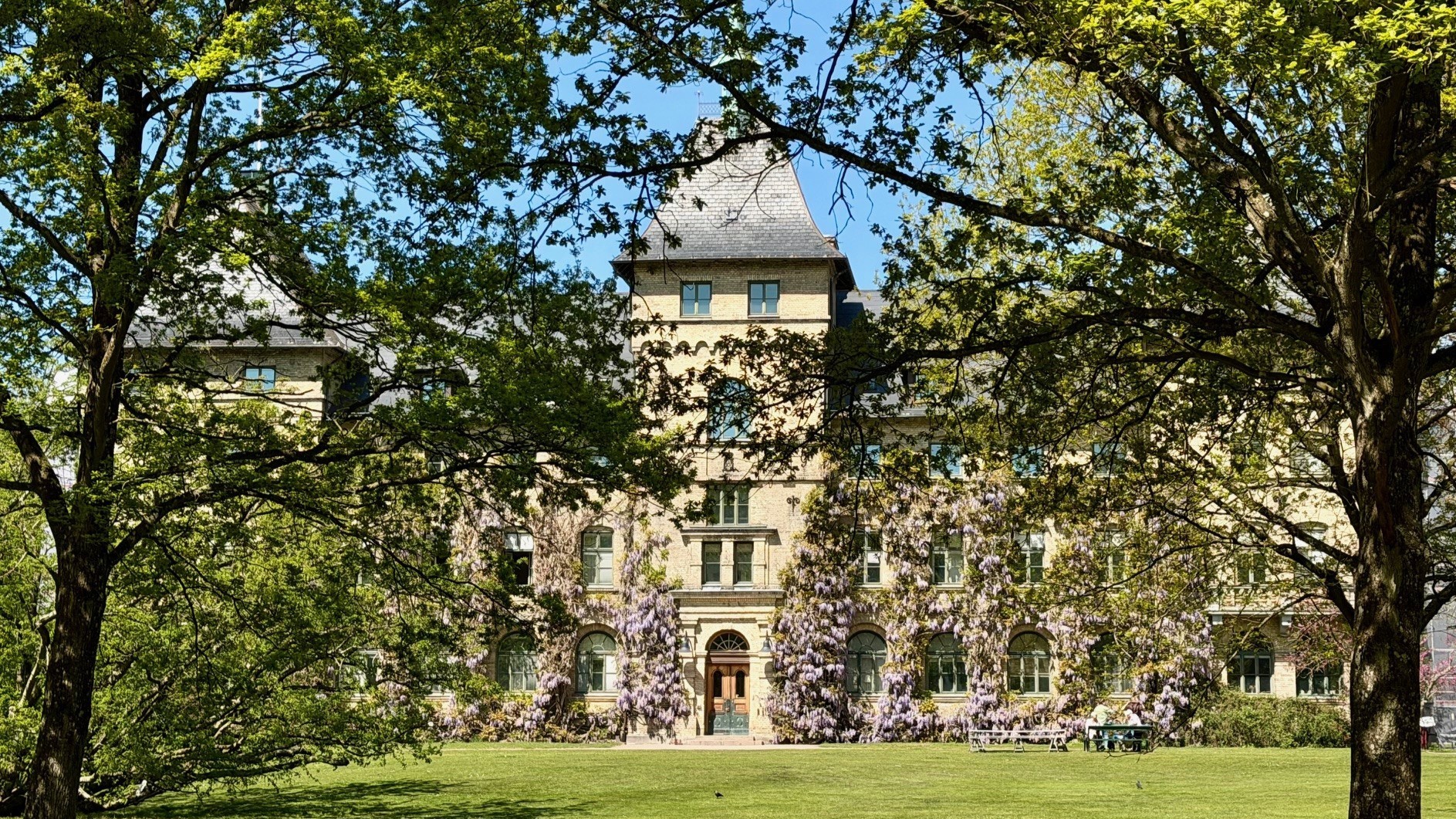 Alnarps slott med träd i förgrunden.