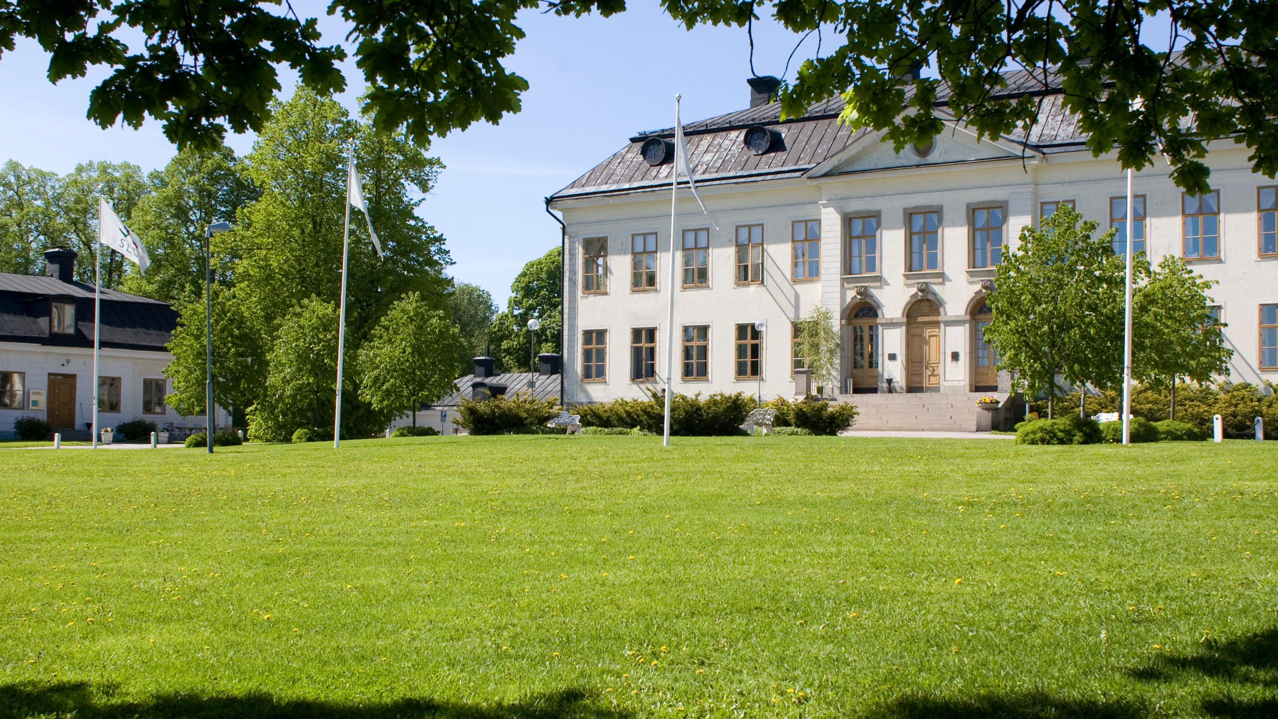 Ståtlig vit herrgårdsbyggnad med svart tak och flera fönster, omgiven av grönskande träd och välklippt gräsmatta. Framför huset står fyra flaggstänger utan flaggor, och i bakgrunden syns ytterligare en mindre byggnad. Bilden är tagen en solig dag med klarblå himmel och gröna lövträd. Foto.