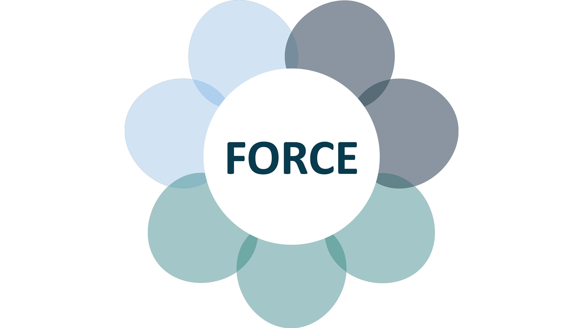 FORCE logo