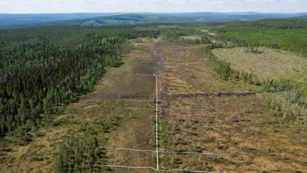 Trollberget restoration mire view, photo by Alejandro Gandara