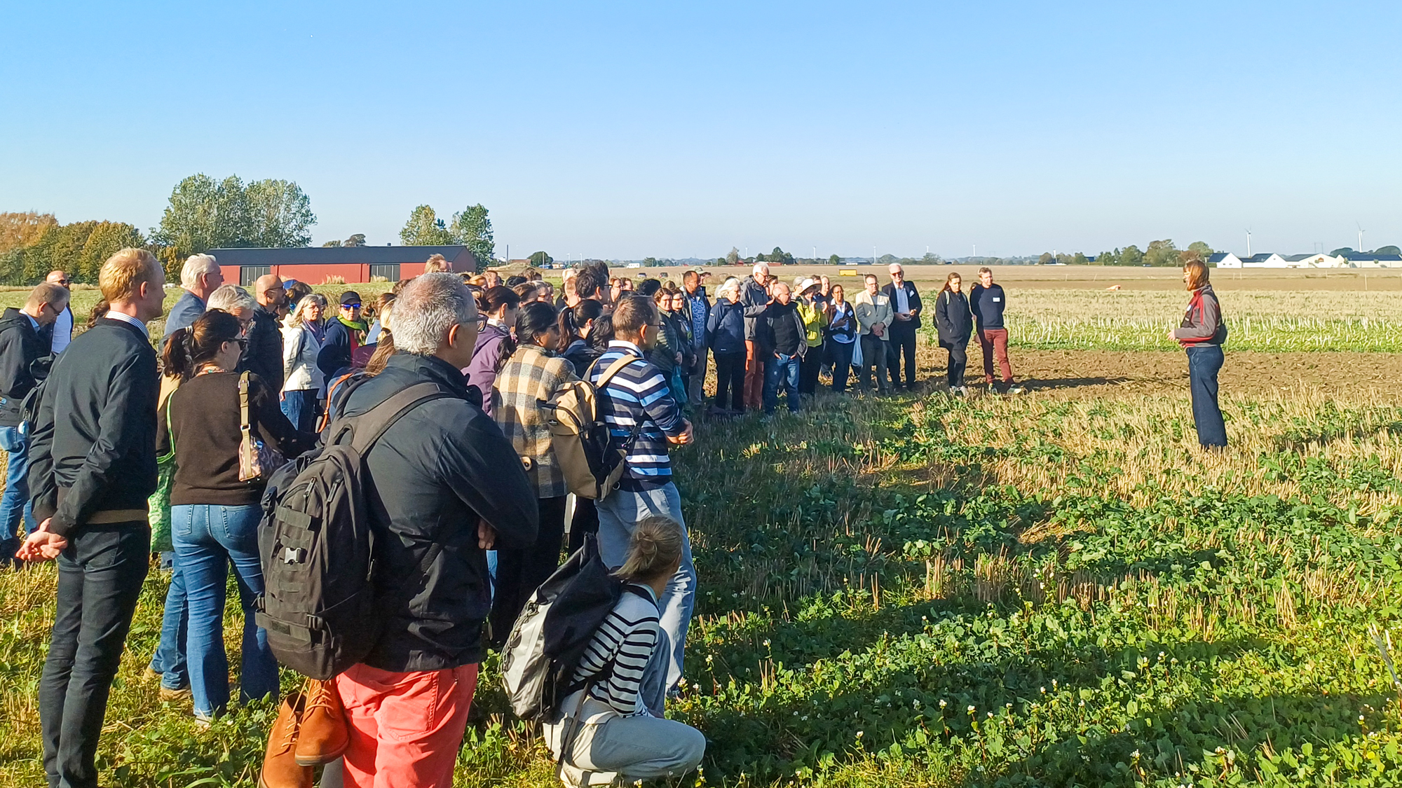 Many people are standing in a field. Photo.