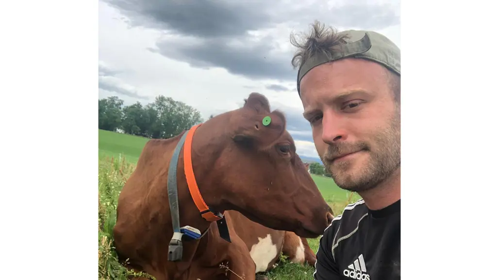 Selfie med Quentin Lardy och en ko.