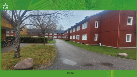 Interior view of student accommodation